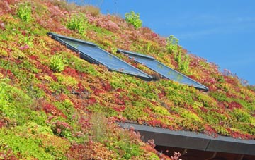 Sulhampstead Bannister Upper End living roof systems