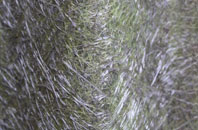 Sulhampstead Bannister Upper End fibreglass roof work